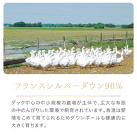 真綿入羽毛掛けふとん/ダウン90％/クロスオーバータイプ