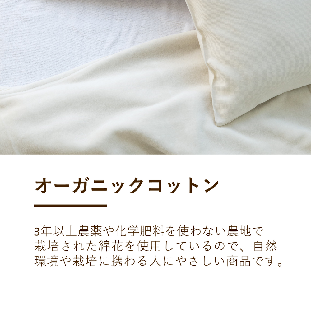 綿毛布（毛羽部分）