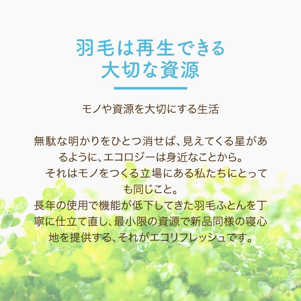 【別注】羽毛肌掛けふとんのリフォーム/リーズナブルコース