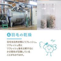 【別注】羽毛肌掛けふとんのリフォーム/リーズナブルコース
