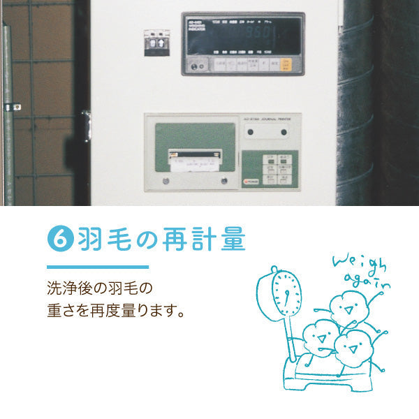 羽毛ふとんのリフォーム/綿しっかりめ生地（60サテン）/ 綿100%/シングルロング→シングルロング