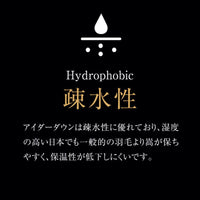 羽毛掛け・合掛け・肌掛けふとん/アイダーダウン95%