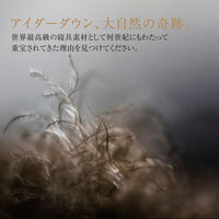 羽毛掛け・合掛け・肌掛けふとん/アイダーダウン95%
