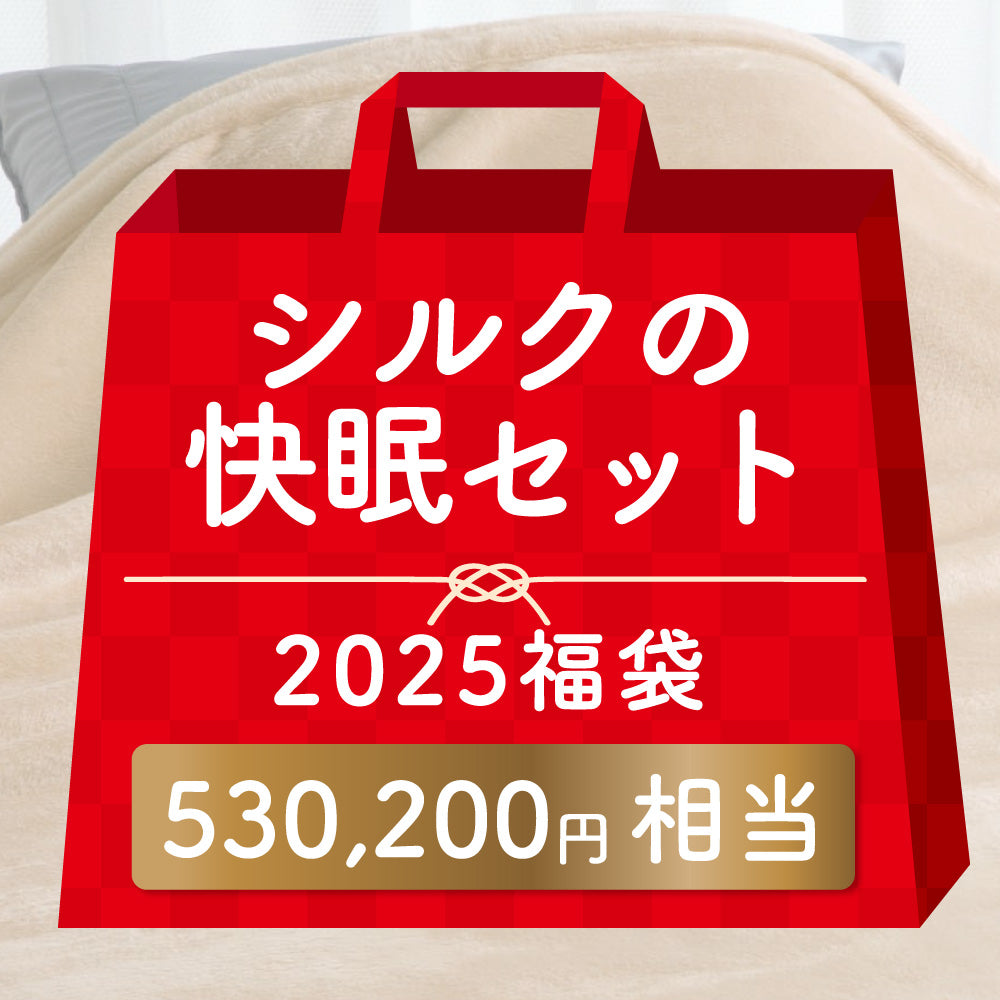 【2025福袋】シルクの快眠SET（真綿肌掛けふとん・シルク毛布・シルク敷きパッド・シルクピローパッド）/530,200円相当