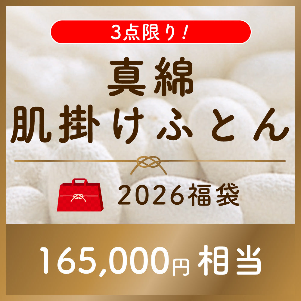 【2026福袋】真綿肌掛けふとん