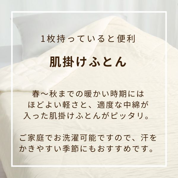 V&A 肌掛けふとん シングル 洗える エアコン対策 夏用掛け わた入り