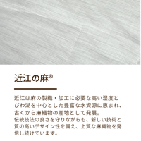 麻敷きパッド/表生地 近江の麻®