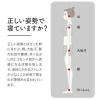 ロマンスエコーSE/3つ折りマットレス/ベッドタイプ/日本カイロプラクターズ協会推奨商品