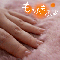 敷き毛布