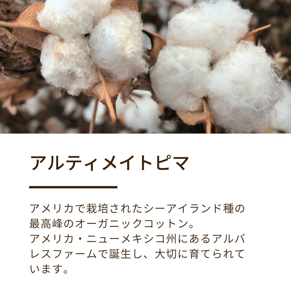 綿毛布（毛羽部分）