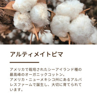 綿毛布（毛羽部分）