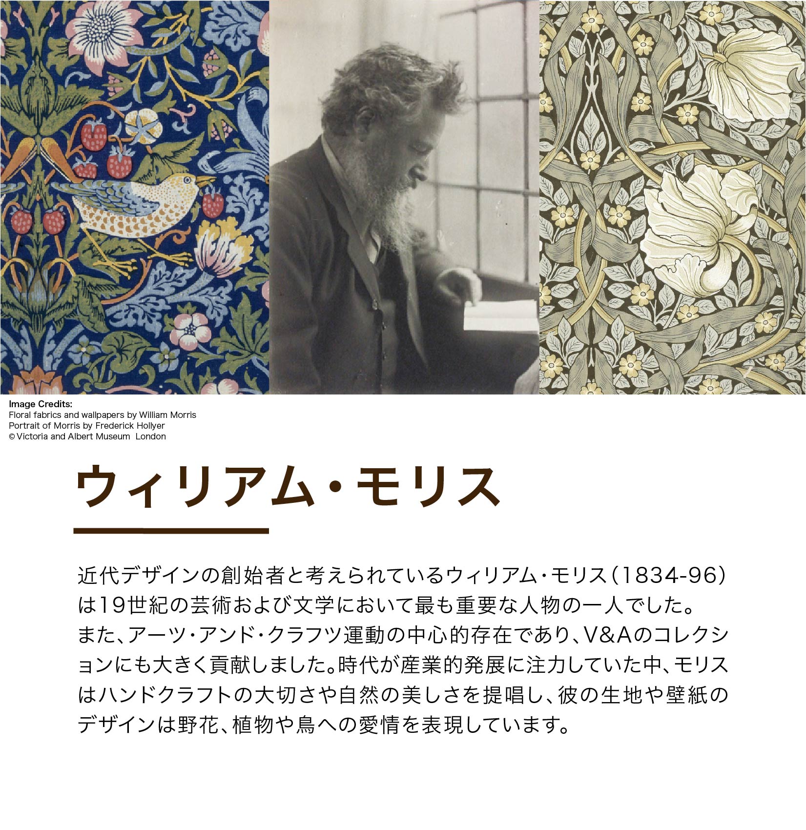 V&A タオルケット ウィリアム・モリス いちご泥棒 ウォッシャブル