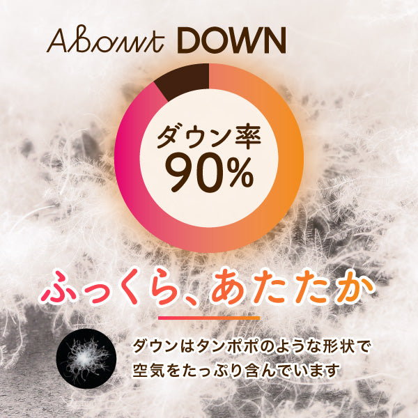 羽毛掛けふとん/ダックダウン/抗ウイルス加工生地