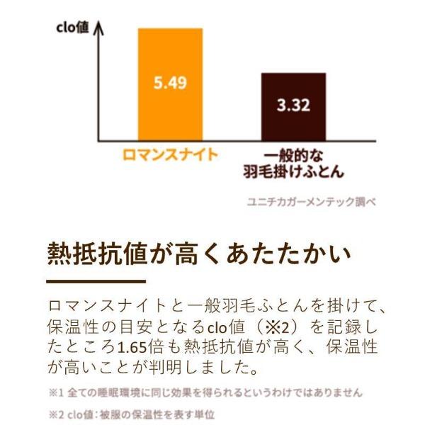 【2025福袋】真綿入り羽毛掛けふとん/ダウン90%/2点限り