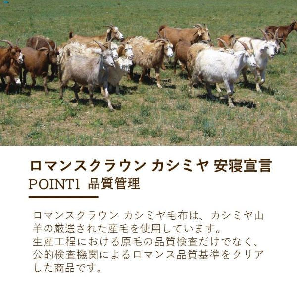 高級感のある天然素材毛布】 カシミヤ毛布 カシミヤ100% 日本製