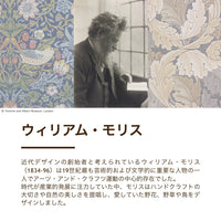 真綿掛けふとん・肌掛けふとん/京都丹後手引き