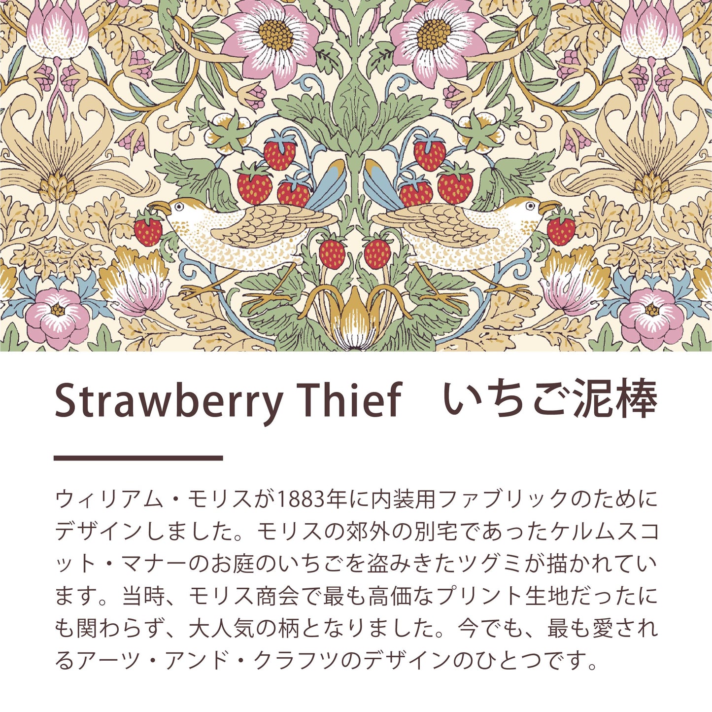 羽毛合い掛けふとん/ダックダウン（ダブルロングサイズのみ）