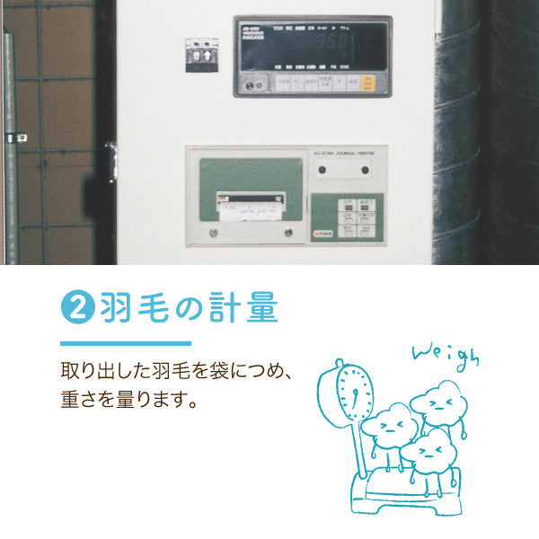 羽毛ふとんのリフォーム/冬掛け→合掛け/シングルロングコース